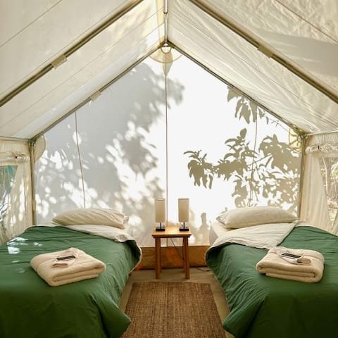 inside of tent